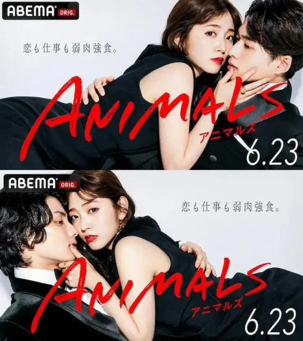 《动物 ANIMALS》：成人动画的另类视角，揭露城市动物的生存百态