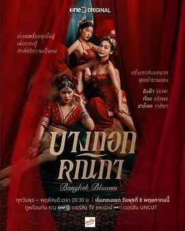 《曼谷名妓》：欲望与救赎交织的泰国夜色，一场震撼人心的灵魂之旅