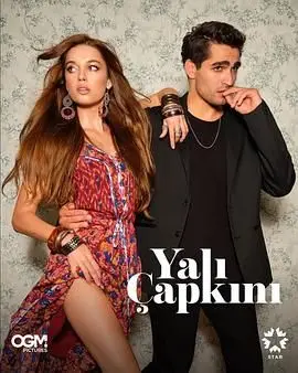 《翠鸟》第一季：土耳其抓马神剧来袭！狗血爱情、家族恩怨，全程高能反转！