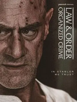 《法律与秩序：组织犯罪 第五季》：罪恶的深渊，正义的狩猎，看Stabler如何击溃跨国阴谋！