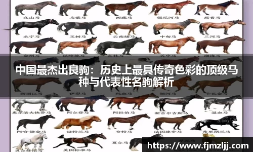oety欧亿体育