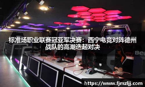 标准场职业联赛冠亚军决赛：西宁电竞对阵德州战队的高潮迭起对决